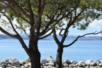 הפורטל לציבור הדתי – כל מה שצריך במקום אחד